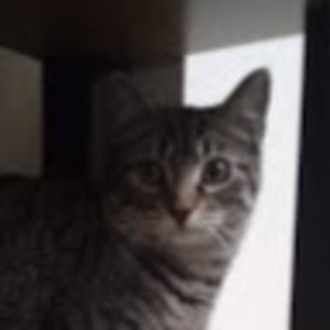 Meet your Posher, Eman